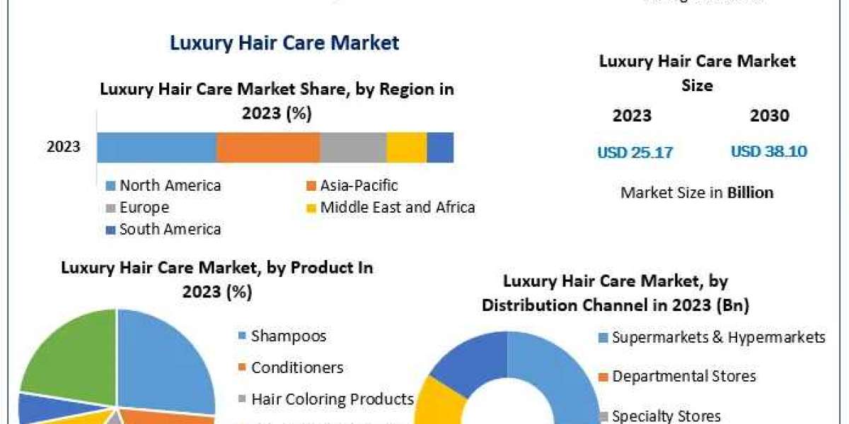 Global Luxury Hair Care Market Competitive Research, Demand and Precise Outlook forecast 2030