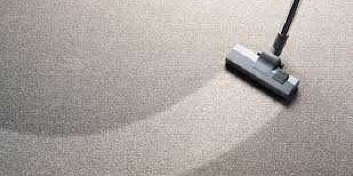 The Power of Professional Carpet Cleaning for a Beautiful Home