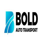 Bold Auto Transport LLC Profile Picture