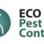 Eco Pest- Control Profile Picture